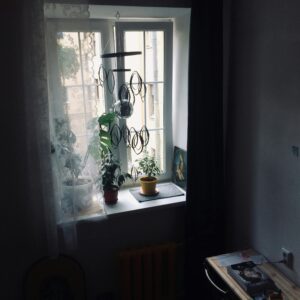 An intimate Sankt-Peterburg interior with plants, window, and decor, capturing tranquil indoor daylight.